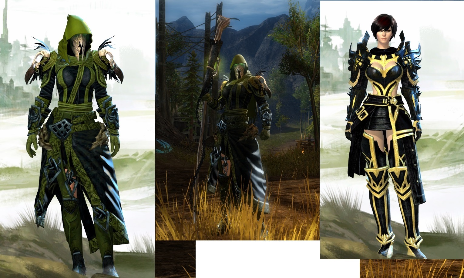 Gw2 armor skins